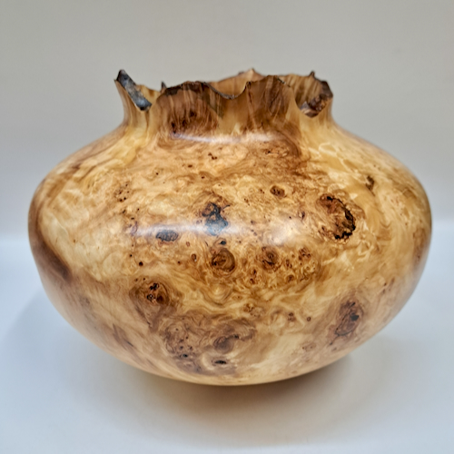 JW-259 Colorado Aspen Burl Hollow Woodturning $500 at Hunter Wolff Gallery